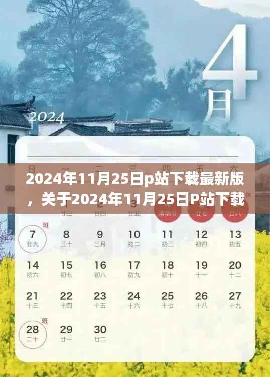 2024年11月25日P站最新版下载,个人立场与观点分析