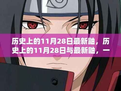 历史上的11月28日与最新鼬,深度探讨与观点论述