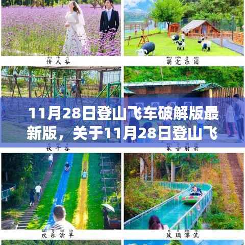 11月28日登山飞车破解版最新版,法律与个人立场交织的探讨