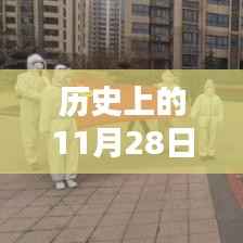 历史上的11月28日咸阳厚德苑最新动态揭秘,历史与现状的交汇点