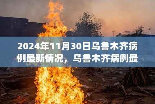 2024年11月30日乌鲁木齐病例最新情况及深度评测
