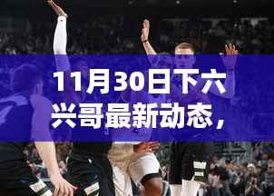 揭秘下六兴哥,最新动态揭晓(11月30日更新)