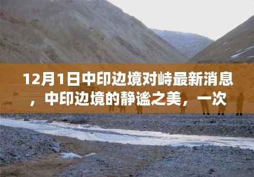 花开无言 第13页