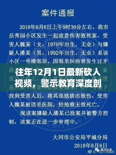 揭秘最新砍人事件真相，深度剖析背后的警示与反思