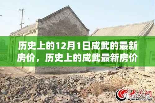 探寻成武房价变迁背后的故事与影响,历史上的房价回顾及最新房价动态(12月1日)