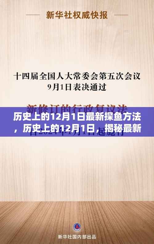 揭秘历史上的12月1日最新探鱼技巧与方法揭秘探鱼秘籍,一网打尽!