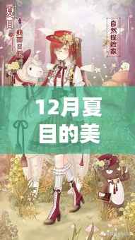 夏目的美丽日记最新评测与深度体验,全面分析与下载指南(12月版)