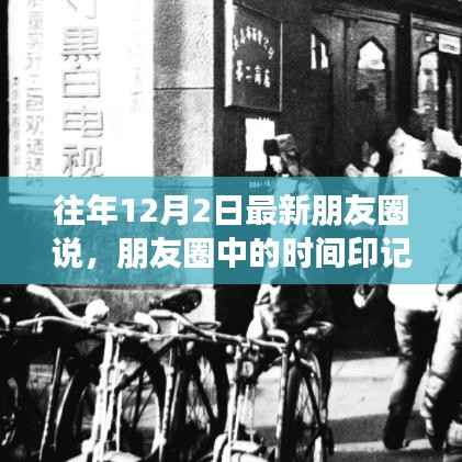 橘虞初梦 第12页