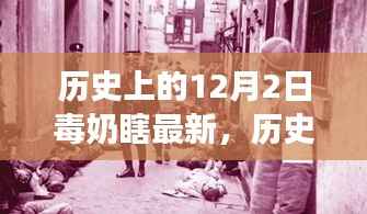 历史上的美好瞬间,12月2日自然美景治愈之旅回顾