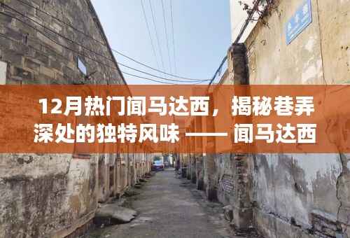 闻马达西小店探秘之旅,巷弄深处的独特风味揭秘