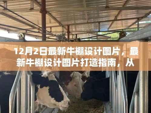 最新牛棚设计图片打造指南,从初学者的起步到完美牛棚设计之旅(附12月最新设计图)