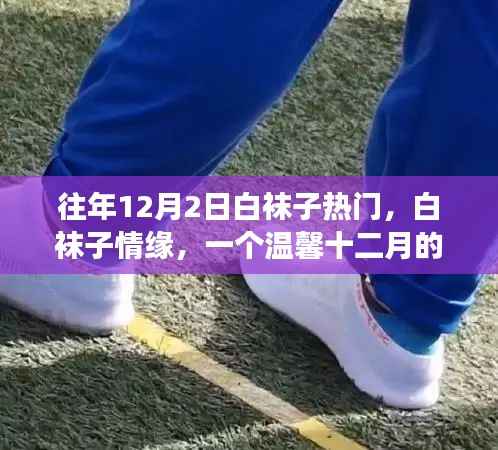 温馨十二月的白袜子情缘,日常故事中的浪漫情缘