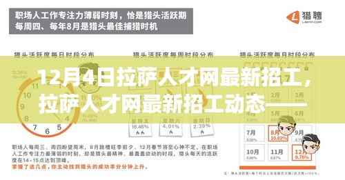 12月4日拉萨人才网最新招工信息,职场人的新机遇来临