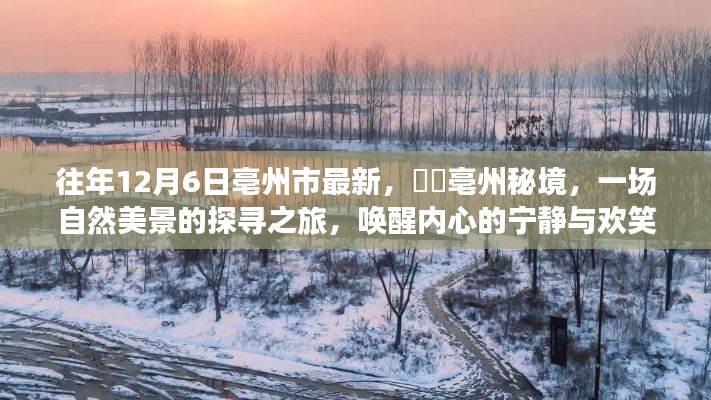 亳州市秘境探寻之旅,自然美景唤醒内心的宁静与欢笑
