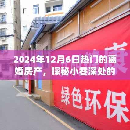 探秘宝藏离婚房产,小巷深处的独特小店故事,揭秘背后的秘密(2024年12月6日热门)