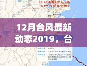 关于台风登陆与影响的深度探讨，最新动态下的台风动态再观察（十二月版）