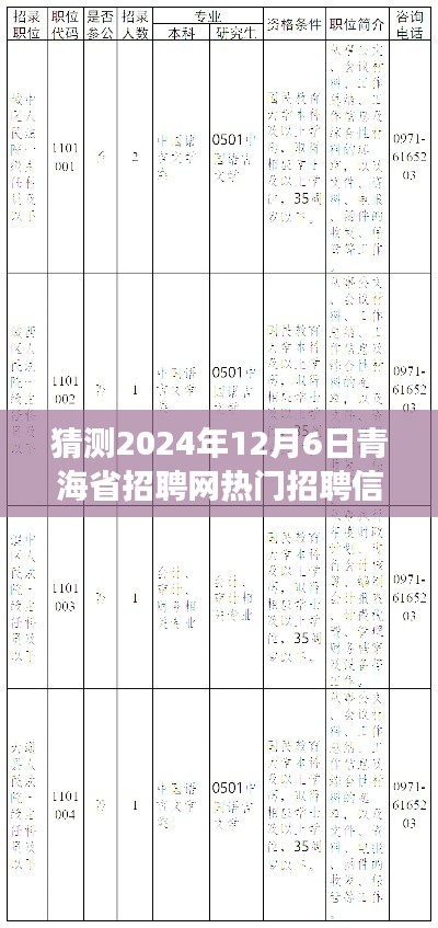青海省招聘网热门预测,未来之约,友情与梦想的交汇点(2024年12月6日招聘展望)