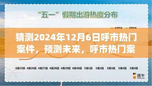 呼市热门案件深度解析与展望,预测未来趋势至2024年12月6日