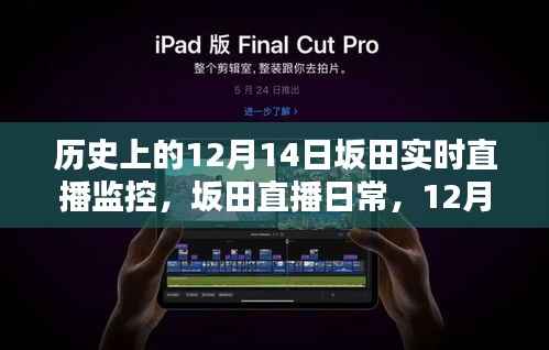 12月14日坂田直播回顾,历史实时监控下的温馨时光