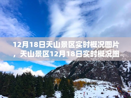 天山景区12月18日实时概况图片及观赏攻略,领略自然之美的绝佳旅程
