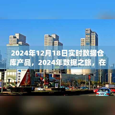 实时数据仓库与自然美景交融,探寻内心平静之道