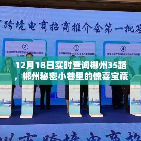 郴州秘密小巷探宝之旅,探寻郴州35路独特小店,惊喜宝藏等你来发现