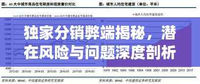 独家分销弊端揭秘，潜在风险与问题深度剖析