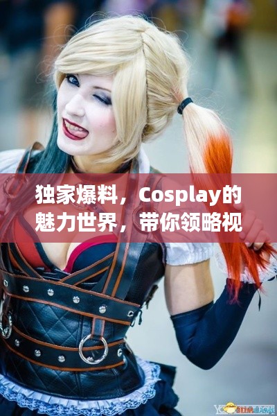 独家爆料,Cosplay的魅力世界,带你领略视觉盛宴!