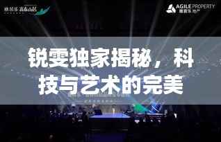 锐雯独家揭秘,科技与艺术的完美融合之旅
