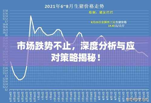 夯雀儿先飞 第3页