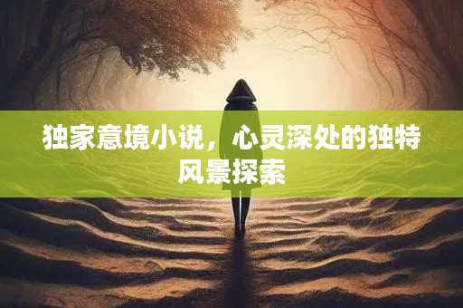 独家意境小说,心灵深处的独特风景探索
