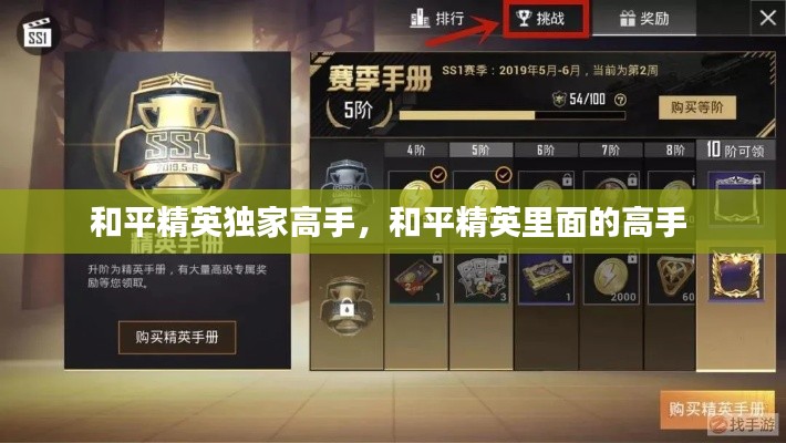 和平精英独家高手,和平精英里面的高手