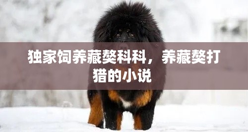 独家饲养藏獒科科,养藏獒打猎的小说