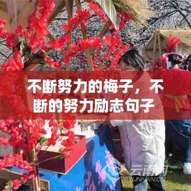 不断努力的梅子,不断的努力励志句子