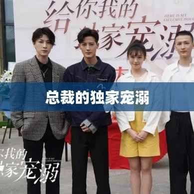 总裁的独家宠溺