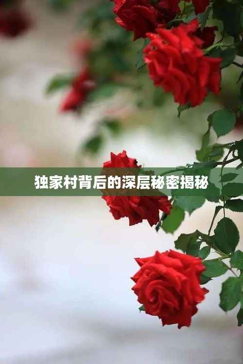 独家村背后的深层秘密揭秘