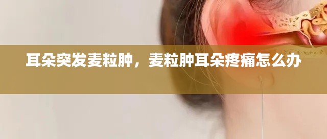 耳朵突发麦粒肿,麦粒肿耳朵疼痛怎么办