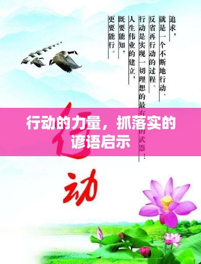 考级报名 第201页