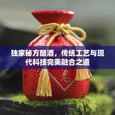 独家秘方酿酒,传统工艺与现代科技完美融合之道