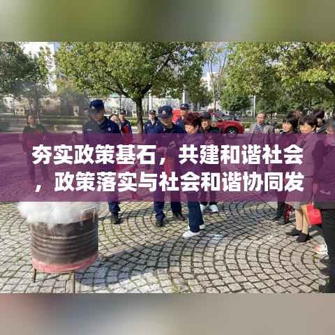 夯实政策基石，共建和谐社会，政策落实与社会和谐协同发展之路