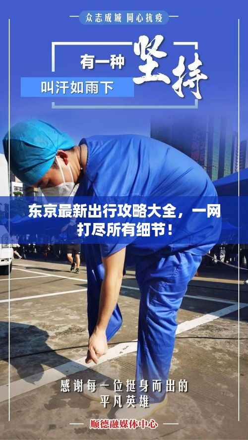 东京最新出行攻略大全,一网打尽所有细节!