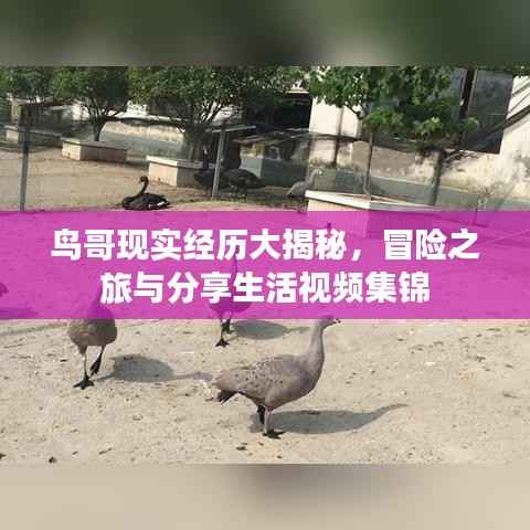 将陋就简 第3页