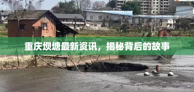 重庆坝塘最新资讯,揭秘背后的故事
