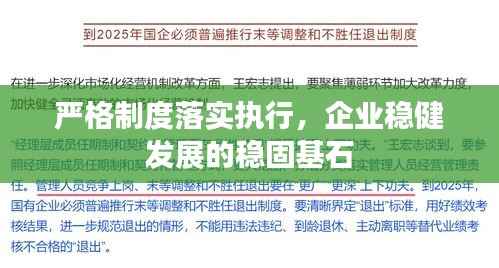严格制度落实执行，企业稳健发展的稳固基石
