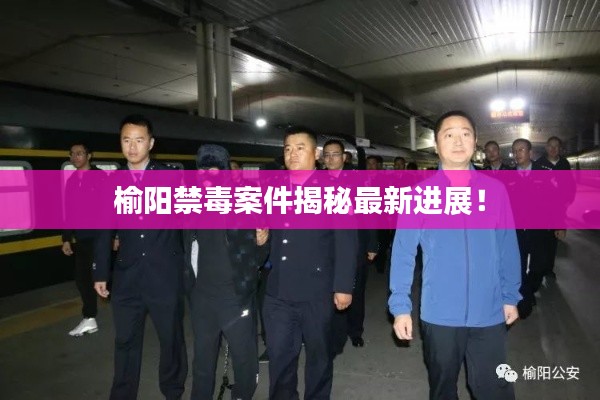 榆阳禁毒案件揭秘最新进展!