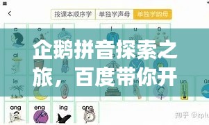 企鹅拼音探索之旅,百度带你开启发现之旅!
