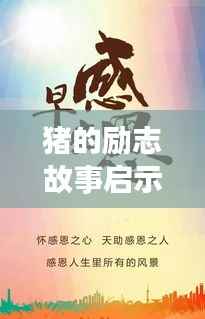 猪的励志故事启示人生,经典语录激励前行