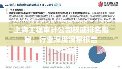 上海工程审计公司权威排名揭秘,行业深度洞察报告