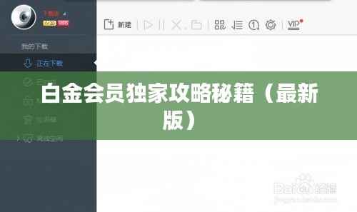 白金会员独家攻略秘籍(最新版)