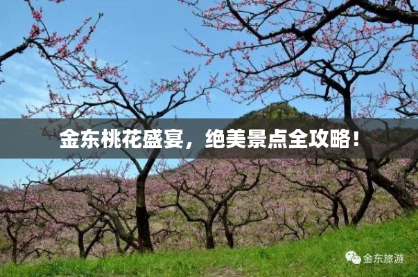 金东桃花盛宴,绝美景点全攻略!